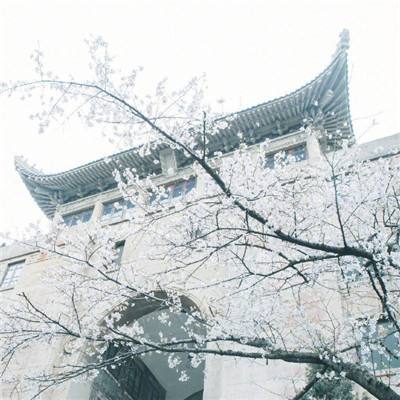 上海戏剧学院附属戏曲学校赴喀开展戏曲进校园活动